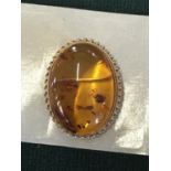Gold bound AntiqueAmber brooch oval shaped, 1" long Baltic Amber 5.5 grams 25