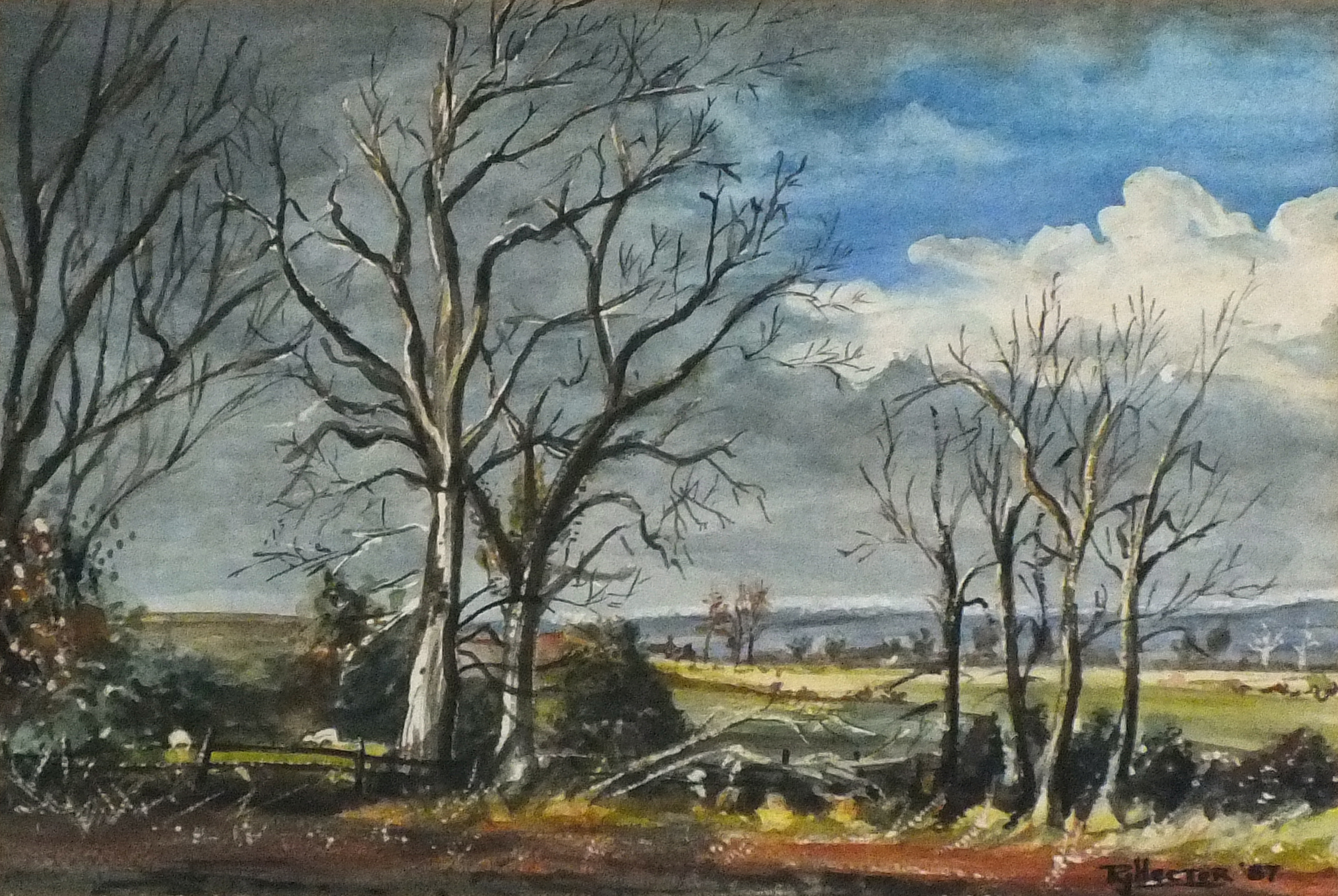 R J HECTOR (British 20th Century) Old Elms, Watercolour, Signed and dated '87 lower right, inscribed