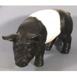 British 20th/21st Century Black and White Saddle-back Pig, Plaster/ceramic, 8" x 17.25" (20cm x