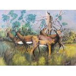 P STURGESS (20th/21st Century) Springboks by a Tree Stump, Watercolour, 15.5" x 20.75" (39cm x 53cm)