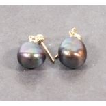 A pair of pearl drop ear studs,  the dark iridescent asymmetrical pearls suspended from 9ct gold