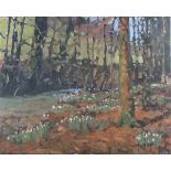 Robert Laidlaw MORLEY (British b. 1944) Stream through Woodland with Snowdrops, Oil on canvas,