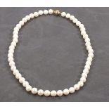 A pearl necklace, of uniform fresh-water pearls with a 9ct gold ball clasp