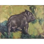Brad DILLON (British 20th/21st Century) Black Hog, Oil on canvas, Signed with initials lower