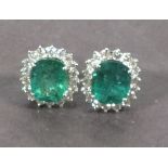 A pair of emerald and diamond ear studs, the oval cut central stones within a band of diamonds,