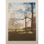 Christopher PENNY (British 1945-2001) Woodland, Lithograph, Signed and titled artists proof, blind-