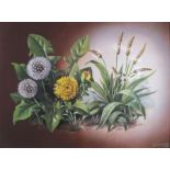 SHERGOLD (British 20th/21st Century) Dandelion & Plantin, Oil on board, Signed lower right, titled