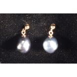 A pair of cultured freshwater pearl ear drops, blue/black hanging from 9ct gold studs