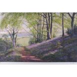 Gerry HILLMAN (British b. 1948) Spring Bluebells, Gicleé print, Signed and number 6/95 in pencil