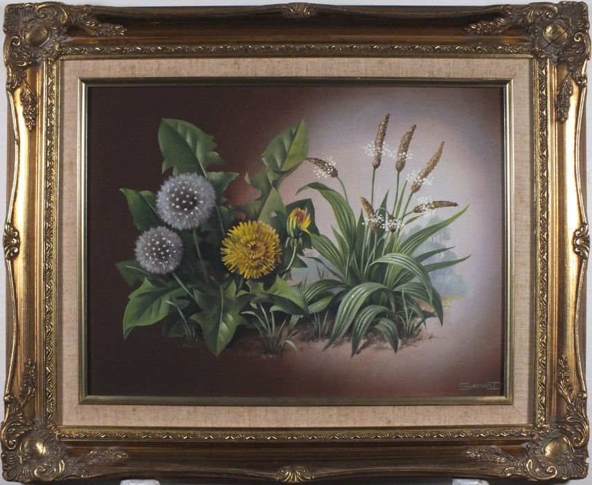 SHERGOLD (British 20th/21st Century) Dandelion & Plantin, Oil on board, Signed lower right, titled - Image 2 of 6