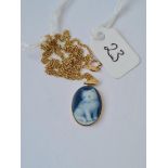 Unusual cat cameo pendant on chain both in 14ct gold