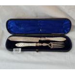 An attractive Victorian cake knife and fork with MOP handles - B'ham 1875 by G UNITE and fitted