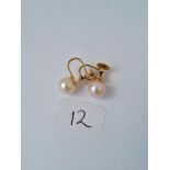 Pair pearl screw back earrings in 9ct