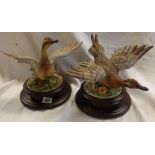 PAIR OF CAPO DE MONTE MODEL DUCKS IN FLIGHT ON WOODEN PLINTHS - MINOR DAMAGE TO WING TIPS & REPAIR