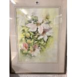 SUZANNE JONES STUDY OF CLEMATIS, SIGNED, WATERCOLOUR