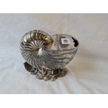 Nautilus shell spoon warmer on rock work base 6.5 in