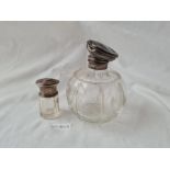 Salt bottles with glass bodies
