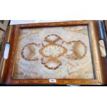 Tray with butterfly wing decorated centre