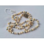 A row of pearls with 9ct clasp