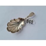 Georgian Exeter caddy spoon fiddle pattern 1818 by W W