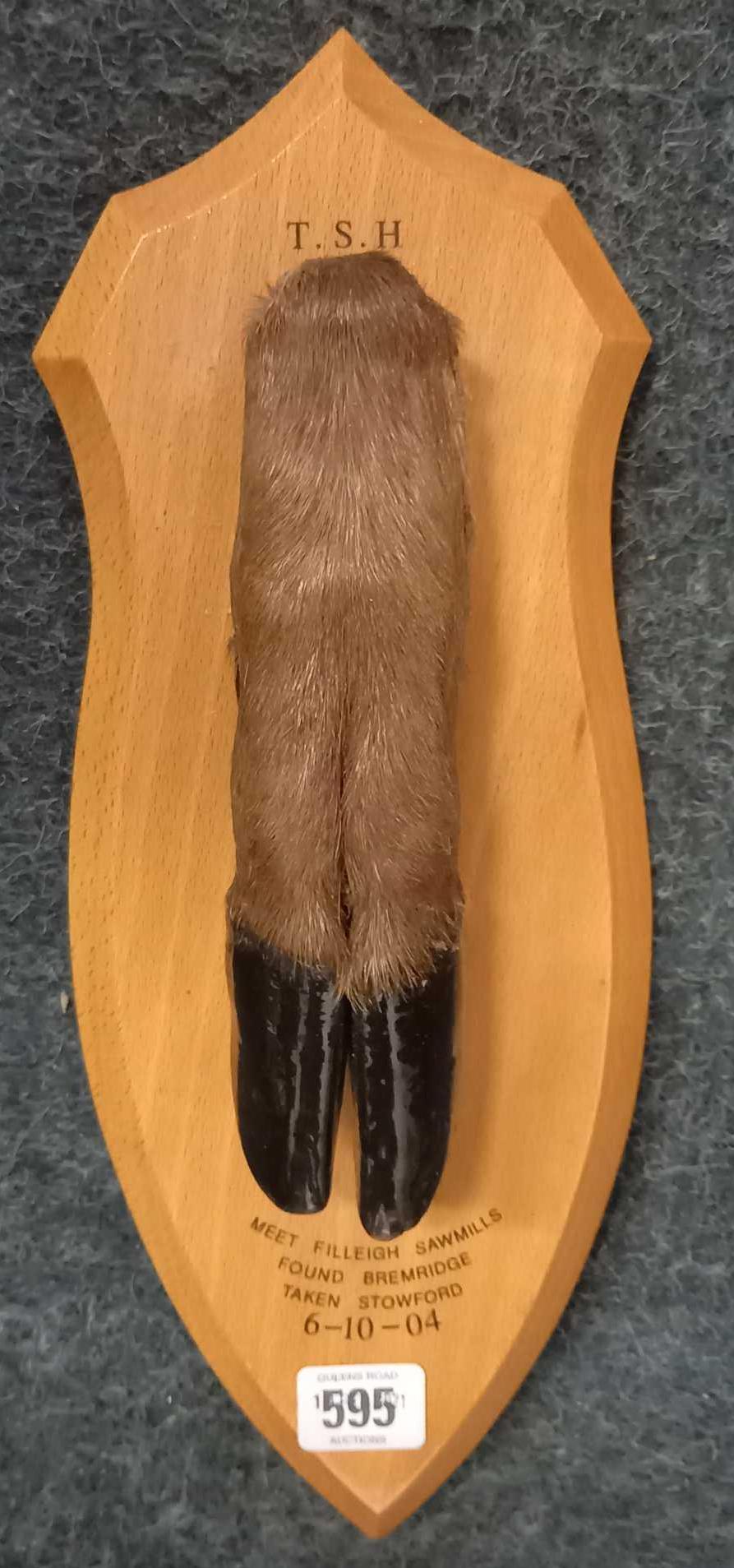 TAXIDERMY A DEER'S FOOT MOUNTED ON PLAQUE