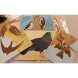A.T. Studies of birds, 8 by 8 inches, average (4)