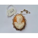 Shell cameo brooch in fancy 9ct mount 10g inc