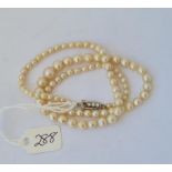 A single row of pearls with silver clasp