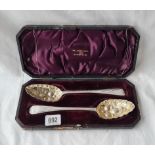 A Newcastle silver. a pair boxed berry spoons decorated with fruit 1815 by IC