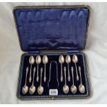 A set of 12 apposal topped tea spoons and a pair of tongs in fitted case Sheffield 1896 by JR 192