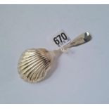 A Victorian caddy spoon with shell bowl Glasgow 1850 by JR