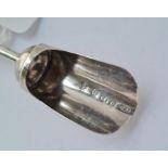 A Georgian scoop shaped caddy spoon with turned handle B'ham 1802 by C&B