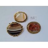 Three gilt framed agate brooches