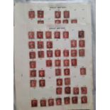 1864/79 1D red platers sel.71-222 on three pages + pl. Blues etc.