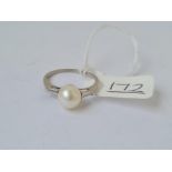 A pearl ring in 14ct white gold - marked 14k - size M - 1.9gms