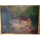 E NEALE 1879 - Ducks and a kingfisher in a pool - 14x19
