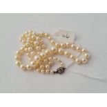 AN ANTIQUE GRADUATED CULTURED PEARL NECKLACE - 20.5" length - larges pearl 7.8mm graduating to 4mm