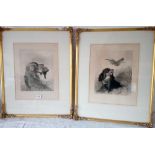 A pair of engravings of dogs with game by HJ BOYDELL after R. ANSELL