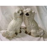 A pair of seated Staffordshire dogs 12 inches high