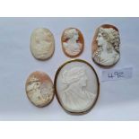 Four loose Victorian shell cameo and large Victorian shell cameo brooch