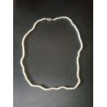 A BOXED PRETTY NATURAL PEARL NECKLACE WITH 9CT WHITE GOLD AND RUBY CLASP