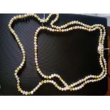 A fancy coloured fresh water pearl necklace of opera length 60 inches long