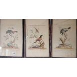 A group of three 18th century coloured bird engravings