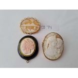 Two cameo brooches and a jet example