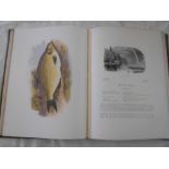 HOUGHTON, W. British Fresh-Water Fishes (1879), London, fol. cont. quarter moroc. lacking leather