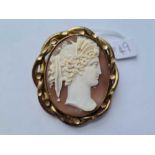 A very large Victorian classical shell cameo in yellow metal frame