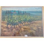 A Alan COTTON Vines at Pievescola, Tuscany mixed medium ( 15 1/2 x 21 1/2 ) signed with label