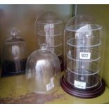 Four glass domes & decorative plates