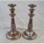A tall pair of Sheffield plated candlesticks with gadrooned borders - 11" high