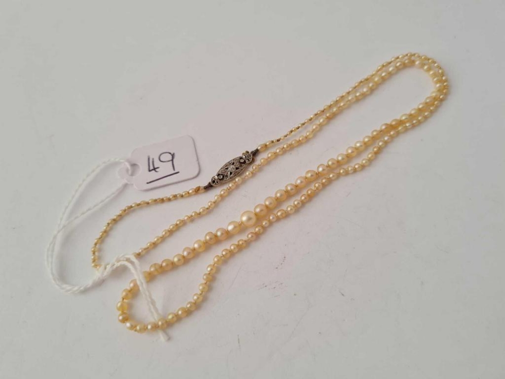 AN EDWARDIAN NATURAL SEED PEARL NECKLACE WITH 18CT GOLD DIAMOND CLASP